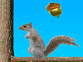 Acorn Toss për të luajtur online