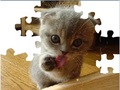 Cute Cat Puzzle për të luajtur online