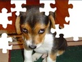 Cute Dog Puzzle për të luajtur online