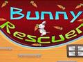 Bunny shpëtimtar për të luajtur online