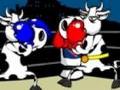 Cow Fighter për të luajtur online