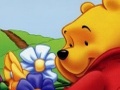 Winnie Pooh Hidden Object për të luajtur online