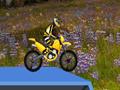 Hillblazer FMX për të luajtur online