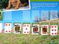 Animal Planet Solitaire për të luajtur online